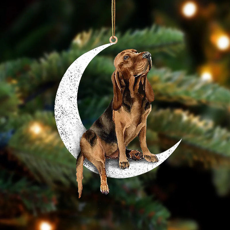 Bloodhound Sit On The Moon Ornament MO095