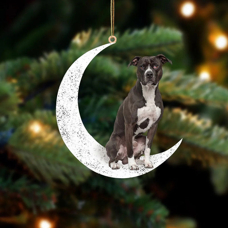 Black and White Pitbull Sit On The Moon Ornament MO104