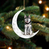 Pomsky Sit On The Moon Ornament MO117