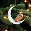 Pomchi Sit On The Moon Ornament MO135