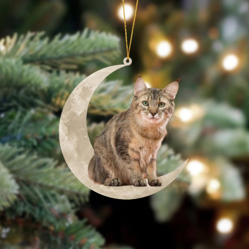 Pixie Bob Cat Sits On The Moon Hanging Ornament Cs028