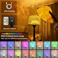 Ocean Wave 16-Color Ambient Lamp – Aurora Water Ripple Night Light