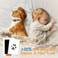 Pet Paw Print Kit, Mess-Free Paw Print Stamp Pad for Dogs & Cats
