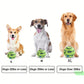 Dog Treat Dispenser Ball – Interactive Squeaky Training Toy