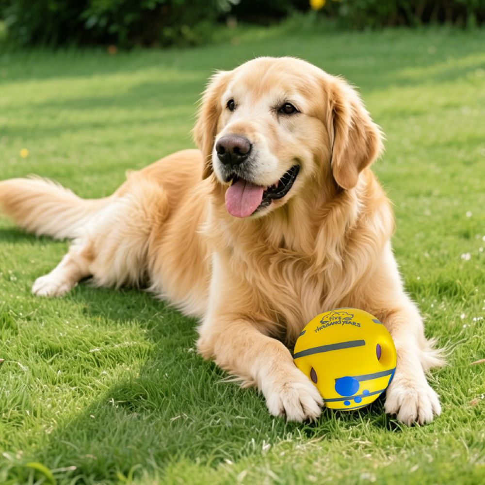Dog Treat Dispenser Ball – Interactive Squeaky Training Toy
