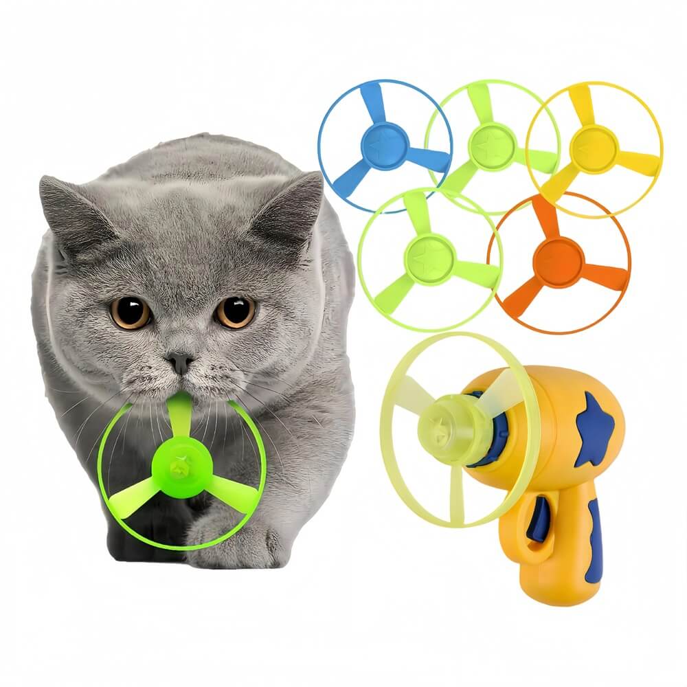Pet Flying Disc Fetch Toy