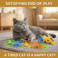 Pet Flying Disc Fetch Toy