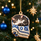 Hanukkah Cat Acrylic Ornament