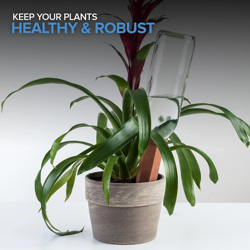 Ceramic Terracotta Self Watering Spikes – Automatic Plant Watering System for Indoor & Outdoor Plants