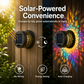 Solar Mandala Wall Light