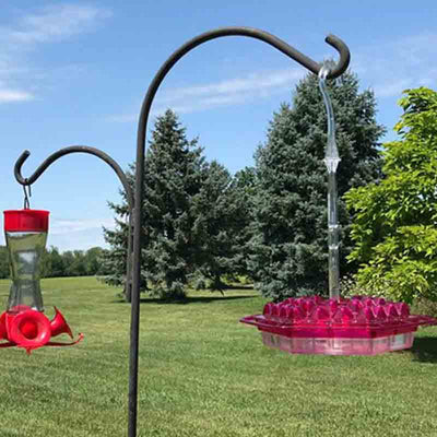 Mother's Sweety Hummingbird Feeder