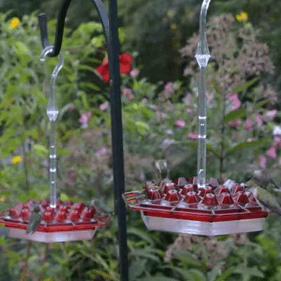 Mother's Sweety Hummingbird Feeder