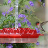 Mother's Sweety Hummingbird Feeder