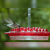 Mother's Sweety Hummingbird Feeder