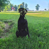 German Shorthaired Pointer Metal Silhouette