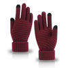 Women's Winter Touchscreen Gloves Warm Fleece Lined Knit Gloves