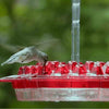 Mother's Sweety Hummingbird Feeder