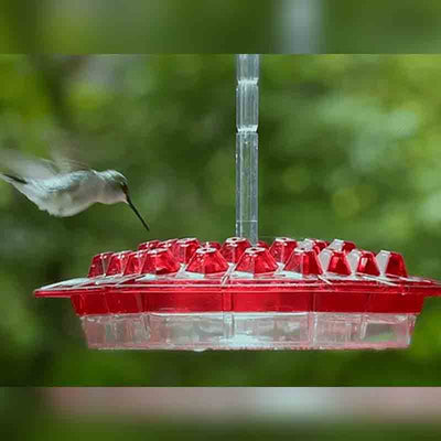 Mother's Sweety Hummingbird Feeder