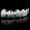 SILVER PLATED 6 TOOTH PREMIUM GRILLS