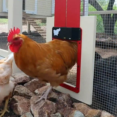 Automatic Chicken Coop Door