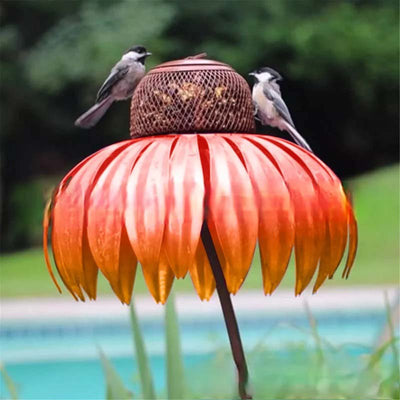 Sensation Pink Coneflower Bird Feeder