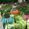 Sensation Pink Coneflower Bird Feeder