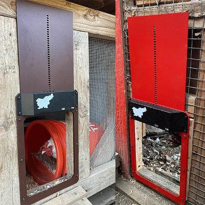 Automatic Chicken Coop Door