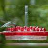 Mother's Sweety Hummingbird Feeder