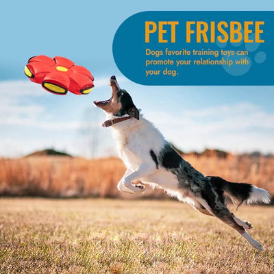 🐾Pet Toy Flying Saucer Ball