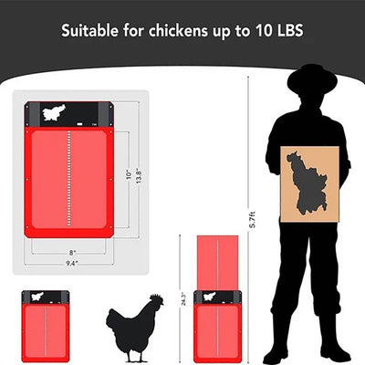 Automatic Chicken Coop Door