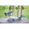 Solar Powered Bird Fountain Kit