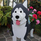 Alaska Malamute Planter AP053