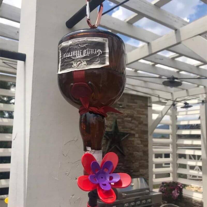 Turn Your Own Recycled Bottles Into the Best Hummingbird Feeder