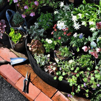 Garden Raised Planting Bed