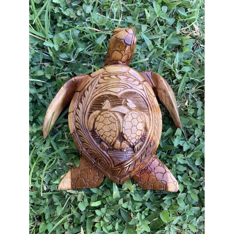 Hawaiian Turtle