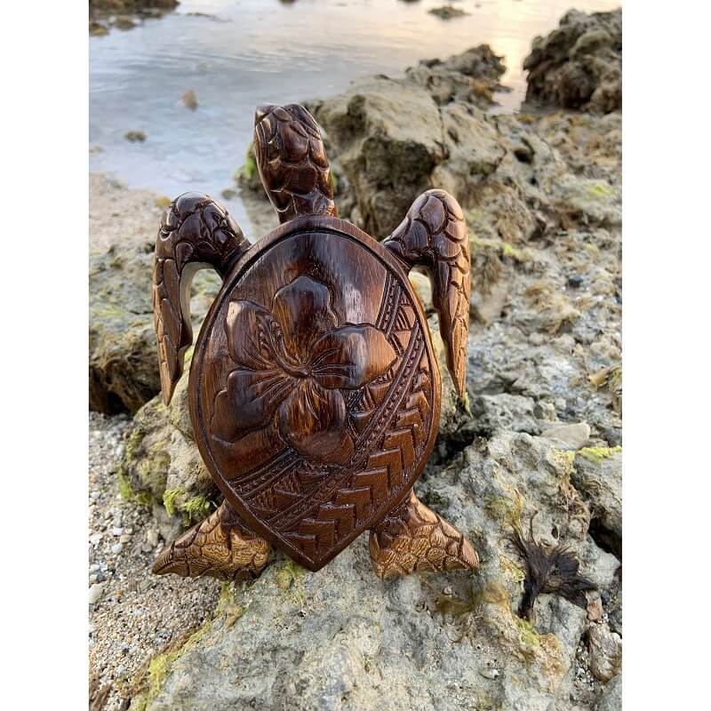 Hawaiian Turtle