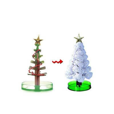 Miracle Growing Christmas Tree