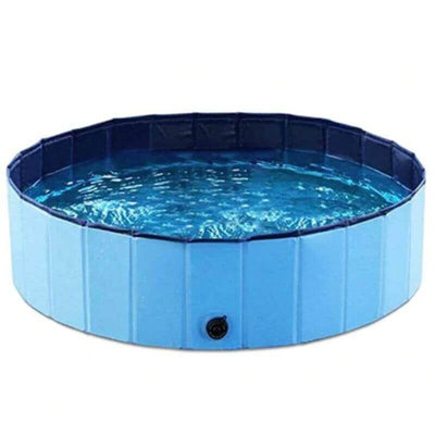 Portable Pool