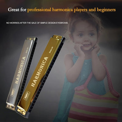 VerseVida™  Professional Harmonica in C Key with Case