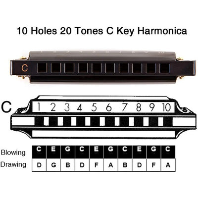 VerseVida™  Professional Harmonica in C Key with Case