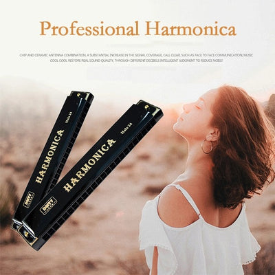 VerseVida™  Professional Harmonica in C Key with Case