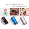 VerseVida™  Professional Harmonica in C Key with Case