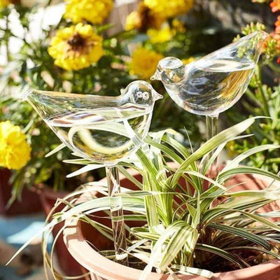 Self-Watering Plant Glass Bulbs