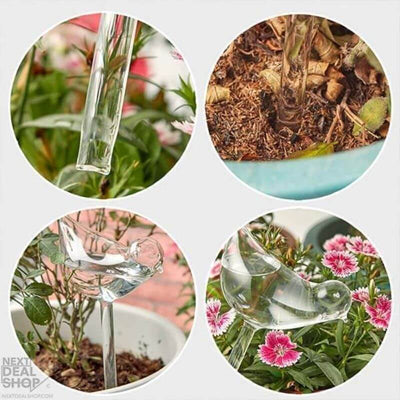 Self-Watering Plant Glass Bulbs