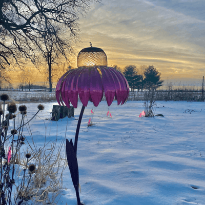 Sensation Pink Coneflower Bird Feeder