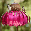 Sensation Pink Coneflower Bird Feeder