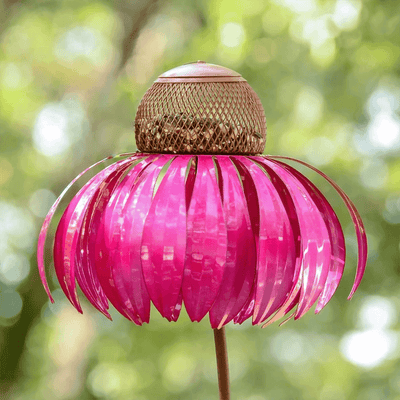 Sensation Pink Coneflower Bird Feeder