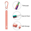 Reusable Telescopic Eco-friendly Straw - BUY 2 FREE SHIPPING