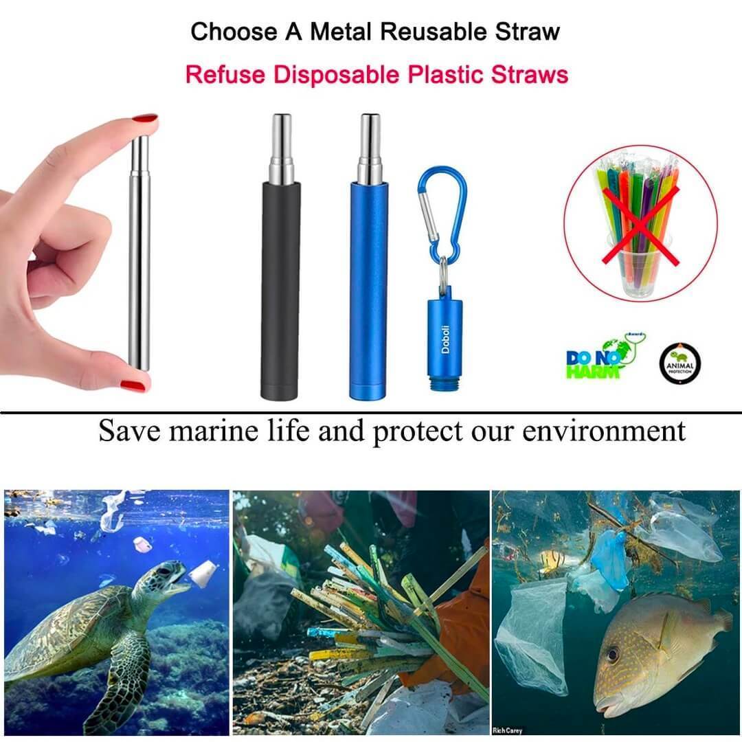 Reusable Telescopic Eco-friendly Straw - BUY 2 FREE SHIPPING